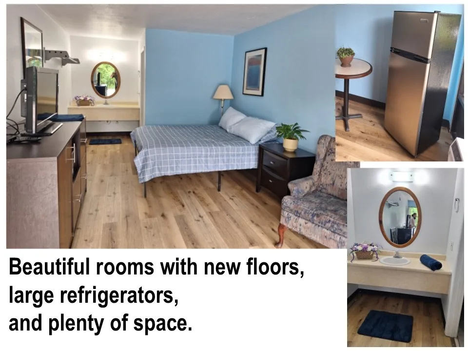Furnished room with refrigerator and microwave
